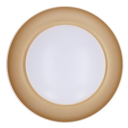 Brilagi - ALVA himmennettävä LED-kattovalaisin LED/48W/230V 3000-6500K, halkaisija 51 cm, valkoinen + kaukosäädin