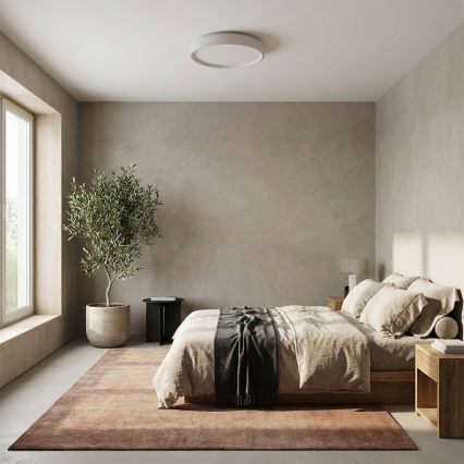 Brilagi - LED-himmennettävä kattovalaisin NANCI LED/60W/230V 3000-6500K halkaisija 49 cm valkoinen + kaukosäädin