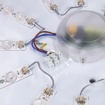 Brilagi - LED himmennettävä kattovalaisin PILANA LED/72W/230V 3000-6500K tammi/musta halkaisija 80 cm + kaukosäädin