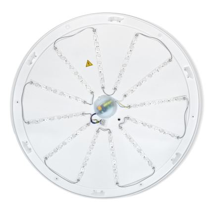 Brilagi - LED himmennettävä kattovalaisin PILANA LED/72W/230V 3000-6500K tammi/musta halkaisija 80 cm + kaukosäädin