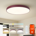Brilagi - LED himmennettävä valaisin POOL SMART LED/100W/230V halkaisija 80 cm 3000-6000K Wi-Fi Tuya + kaukosäädin burgundinpunainen