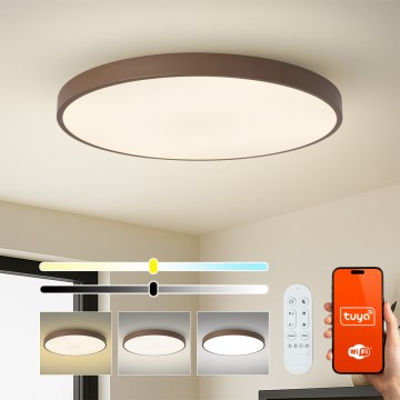 Brilagi - LED-himmennettävä valaisin POOL SMART LED/128W/230V Ø 100 cm 3000–6000K Wi-Fi Tuya + kaukosäädin ruskea