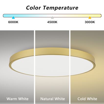 Brilagi - LED-himmennettävä kattovalaisin POOL SMART LED/180W/230V 3000-6000K 120 cm kultainen Wi-Fi Tuya + kaukosäädin