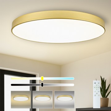 Brilagi -LED himmennettävä valaisin POOL SMART LED/180W/230V 120 cm kultainen Wi-Fi Tuya+kauko-ohjain