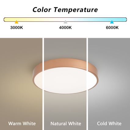 BRILAGI - LED-himmennettävä kattovalaisin POOL SMART LED/48W/230V 3000-6000K halkaisija 40 cm Wi-Fi Tuya pronssinvärinen + kaukosäädin