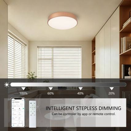 BRILAGI - LED-himmennettävä kattovalaisin POOL SMART LED/48W/230V 3000-6000K halkaisija 40 cm Wi-Fi Tuya pronssinvärinen + kaukosäädin