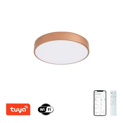 BRILAGI - LED-himmennettävä kattovalaisin POOL SMART LED/48W/230V 3000-6000K halkaisija 40 cm Wi-Fi Tuya pronssinvärinen + kaukosäädin