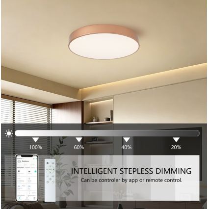 BRILAGI - Himmennettävä LED-kattovalaisin POOL SMART LED/60W/230V 3000-6000K halkaisija 50 cm Wi-Fi Tuya pronssinvärinen + kaukosäädin