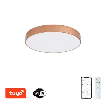 BRILAGI - Himmennettävä LED-kattovalaisin POOL SMART LED/60W/230V 3000-6000K halkaisija 50 cm Wi-Fi Tuya pronssinvärinen + kaukosäädin