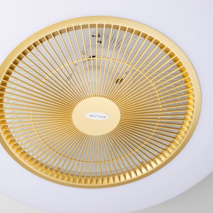 Brilagi - LED Himmennettävä valo tuulettimella AURA LED/38W/230V 3000-6000K kulta + kaukosäädin