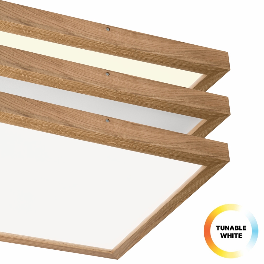 Brilagi - Himmennettävä kylpyhuoneen LED-kattovalaisin WOODY FRAME LED/50W/230V tammi 60x60 cm 3000-6000K IP44 + kauko-ohjaus