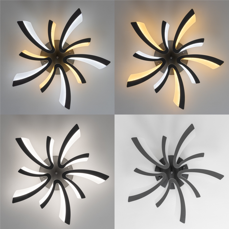 Brilagi - LED-himmennyskattokruunu TWIST LED/55W/230V 3000-6500K antrasiitti + kauko-ohjaus