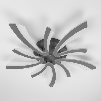 Brilagi - LED-himmennyskattokruunu TWIST LED/55W/230V 3000-6500K antrasiitti + kauko-ohjaus