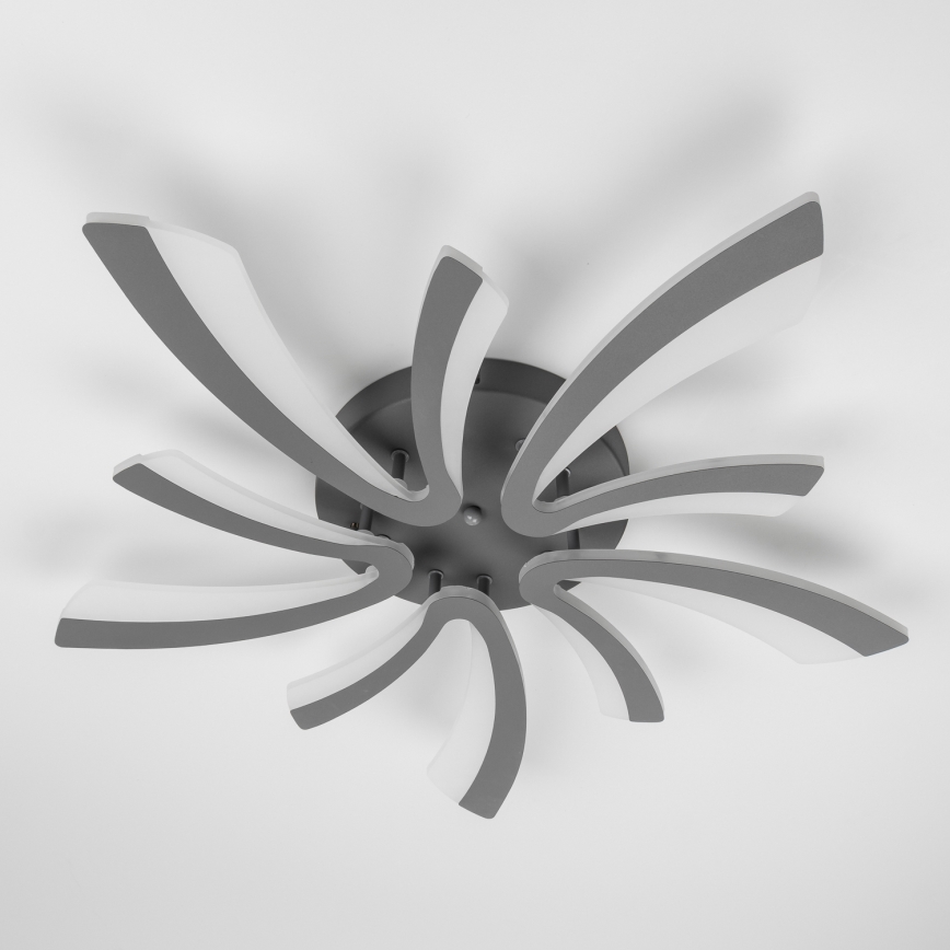 Brilagi - LED-himmennyskattokruunu TWIST LED/55W/230V 3000-6500K antrasiitti + kauko-ohjaus