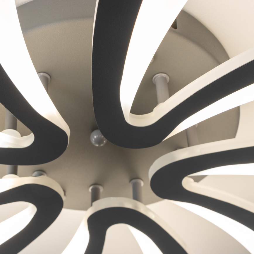 Brilagi - LED-himmennyskattokruunu TWIST LED/55W/230V 3000-6500K antrasiitti + kauko-ohjaus