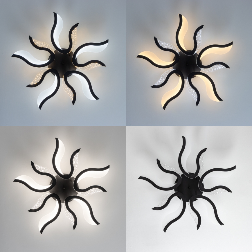 Brilagi - LED-himmennyskattokruunu TWIST LED/65W/230V 3000-6500K musta + kauko-ohjaus