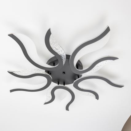 Brilagi - LED-himmennyskattokruunu TWIST LED/65W/230V 3000-6500K musta + kauko-ohjaus