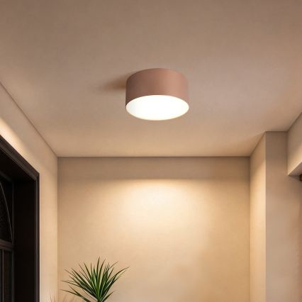 BRILAGI - LED-ulkokattovalaisin FORIS LED/14W/230V Ø 12 cm pronssinvärinen IP44