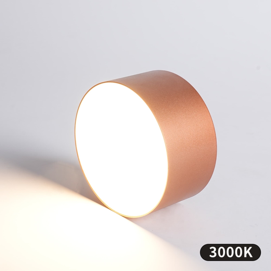 BRILAGI - LED-ulkokattovalaisin FORIS LED/14W/230V Ø 12 cm pronssinvärinen IP44