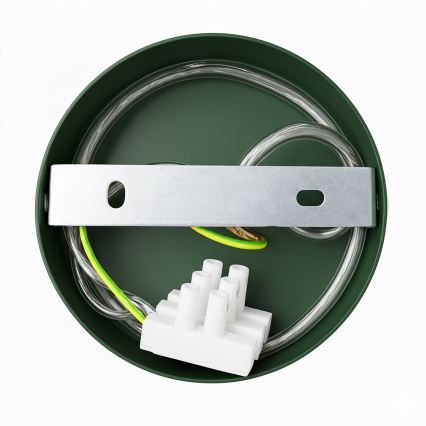 Brilagi - LED Kattokruunu johdossa FLAMENGO 1xE27/60W/230V vihreä