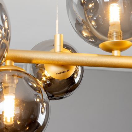 Brilagi - LED-kattokruunu johdossa MILLA 10xG9/3W/230V kulta/savuinen