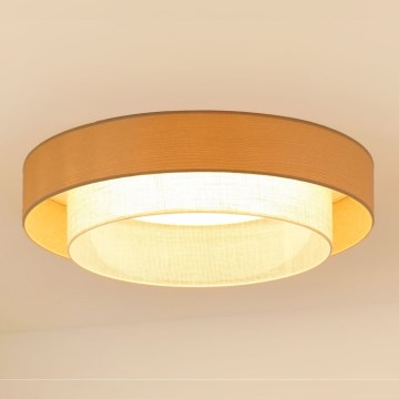 Brilagi - LED-kattovalaisin ARIZONA BOHO LED/26W/230V halkaisija 60 cm beige