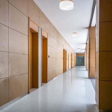 Brilagi - LED Kattovalaisin BELLADONNA 2xE27/15W/230V halkaisija 40 cm valkoinen/tammi