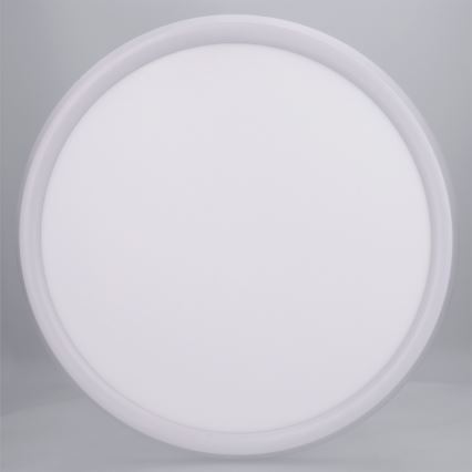 Brilagi - LED-kattovalaisin CARLOS LED/24W/230V halkaisija 40 cm valkoinen