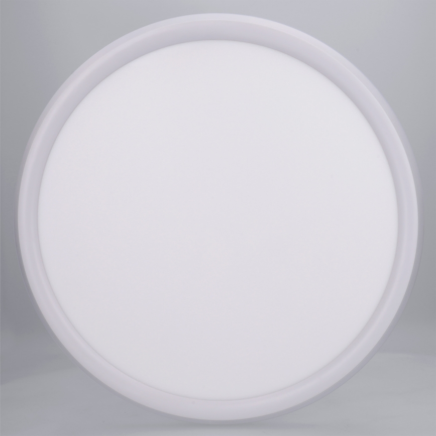 Brilagi - LED-kattovalaisin CARLOS LED/24W/230V halkaisija 40 cm valkoinen