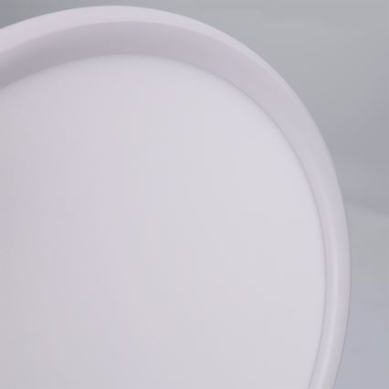 Brilagi - LED-kattovalaisin CARLOS LED/24W/230V halkaisija 40 cm valkoinen