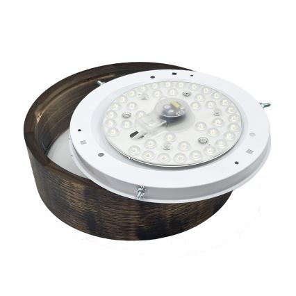 Brilagi - LED-kattovalaisin CARVALHO SMOKEY LED/20W/230V, tammi, halkaisija 27,5 cm