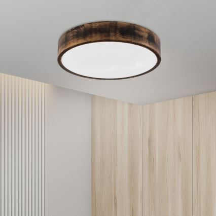 Brilagi - LED-kattovalaisin CARVALHO SMOKEY LED/36W/230V, tammi, halkaisija 47,5 cm