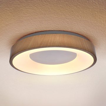 Brilagi - LED-kattovalaisin DORIA LED/24W/230V halkaisija 28,5 cm