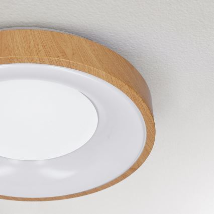 Brilagi - LED-kattovalaisin DORIA LED/24W/230V halkaisija 28,5 cm