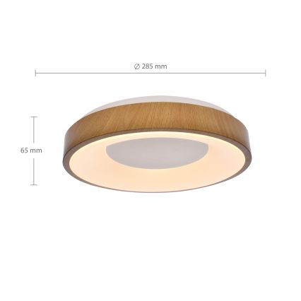Brilagi - LED-kattovalaisin DORIA LED/24W/230V halkaisija 28,5 cm