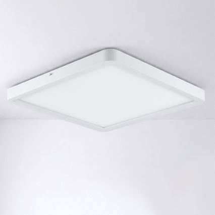 Brilagi - LED kattovalaisin ESTELA SQUARE LED/24W/230V 31x31 cm valkoinen