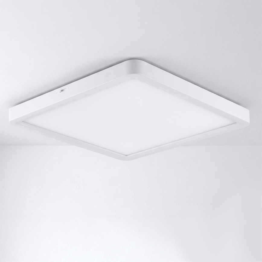 Brilagi - LED kattovalaisin ESTELA SQUARE LED/24W/230V 31x31 cm valkoinen
