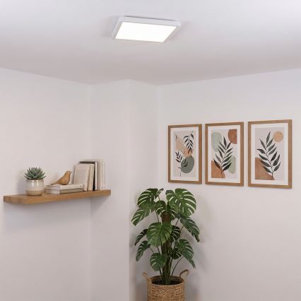 Brilagi - LED kattovalaisin ESTELA SQUARE LED/24W/230V 31x31 cm valkoinen
