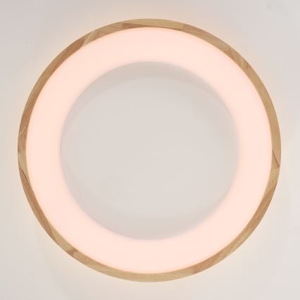 Brilagi - LED-kattovalaisin FALCON WOOD LED/40W/230V 3000/4000/6000K halkaisija 60 cm puu