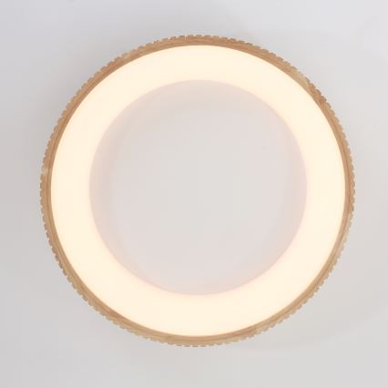 Brilagi - LED-kattovalaisin FALCON WOOD MODERN LED/40W/230V 3000/4000/6000K halkaisija 60 cm puinen