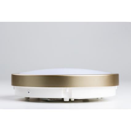 Brilagi - LED-kattovalaisin kylpyhuoneeseen PERA LED/18W/230V halkaisija 22 cm IP65 kulta