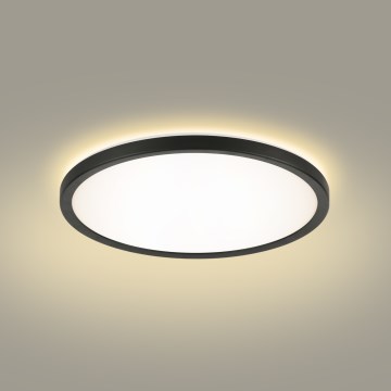 Brilagi - LED-kattovalaisin kylpyhuoneeseen ULTRA SLIM LED/12W/230V halkaisija 22,5 cm musta IP54
