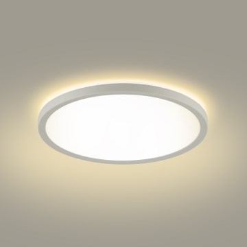 Brilagi - LED-kattovalaisin kylpyhuoneeseen ULTRA SLIM LED/12W/230V halkaisija 22,5 cm valkoinen IP54