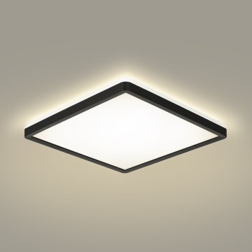 Brilagi - LED-kattovalaisin kylpyhuoneeseen ULTRA SLIM LED/24W/230V 42x42 cm musta IP54