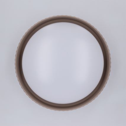 Brilagi - LED-kattovalaisin LUCIA LED/24W/230V halkaisija 31 cm ruskea