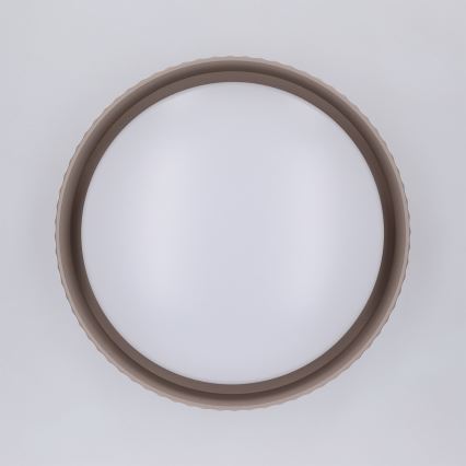 Brilagi - LED-kattovalaisin LUCIA LED/24W/230V halkaisija 31 cm taupe