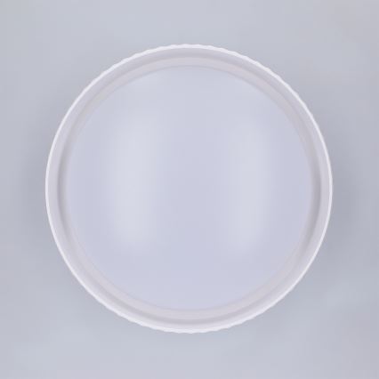 Brilagi - LED-kattovalaisin LUCIA LED/24W/230V, halkaisija 31 cm, valkoinen