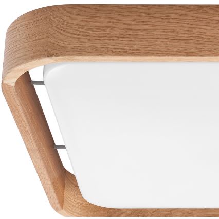 Brilagi - himmennettävä LED-kattovalaisin MANAROLA CUBIC LED/24W/230V 45x45 cm 3000-6500K tammi + kaukosäädin