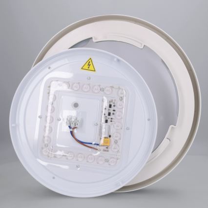 Brilagi - LED-kattovalaisin MATTEO LED/24W/230V halkaisija 31 cm vihreä