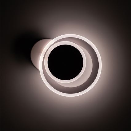 Brilagi - LED Kattovalaisin MODERN MINI LED/22W/230V 3000/4000/6000K